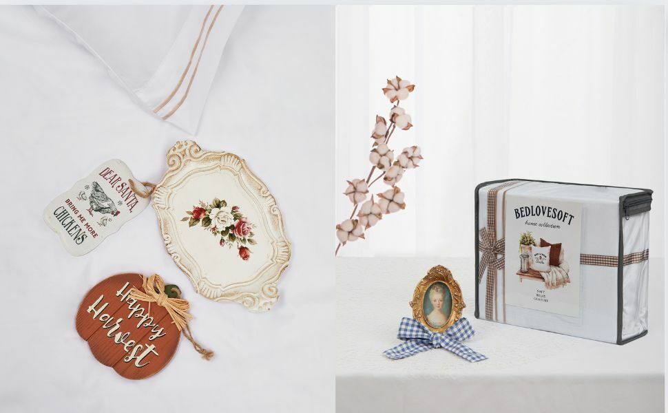 0108c30a-ab08-4f67-a7ca-1e7a47faa24b.__CR0,0,970,600_PT0_SX970_V1___