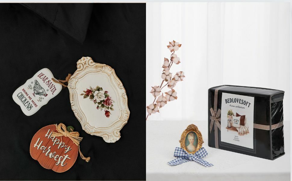 5e1c720b-5f26-4825-aa6b-e7711d1a6889.__CR0,0,970,600_PT0_SX970_V1___