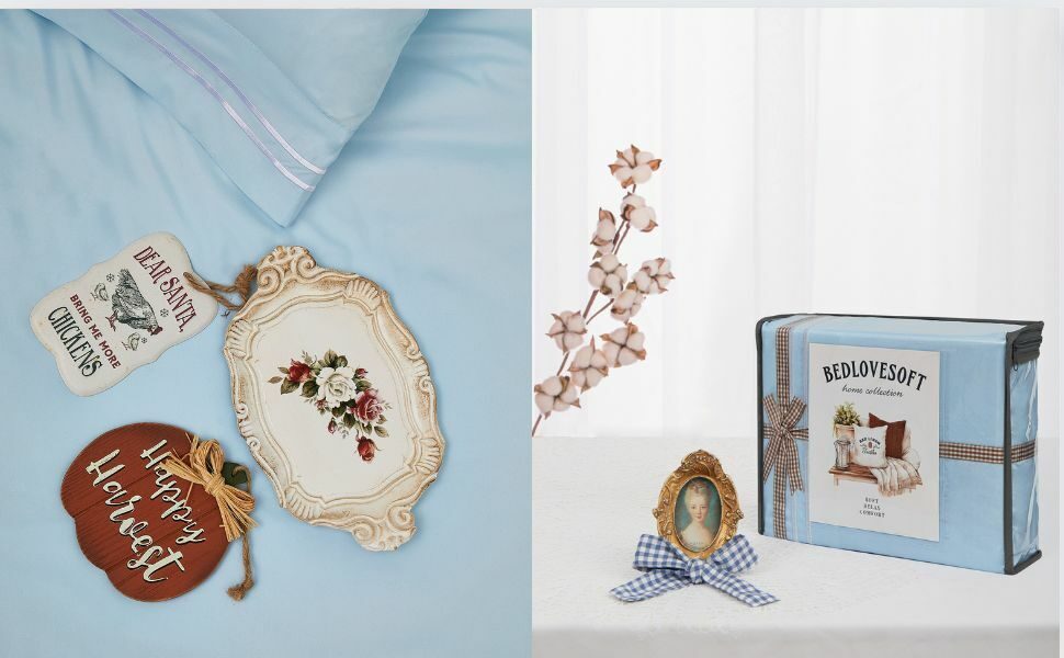 5eb213fe-cdf1-4e7c-90d7-19e8afb1f0a4.__CR0,0,970,600_PT0_SX970_V1___