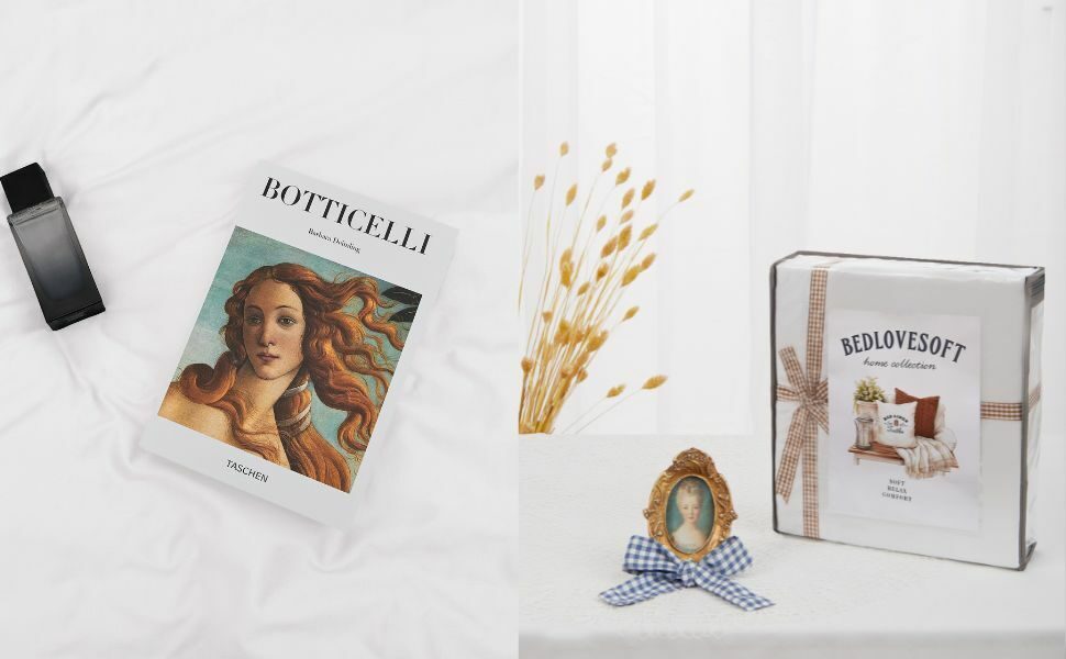 d35e065c-d776-4e51-881f-6caf0f63a3b0.__CR0,0,970,600_PT0_SX970_V1___